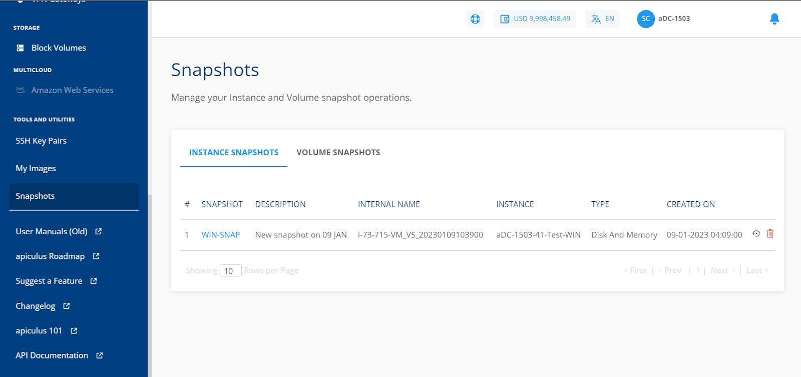 Managing Instance and Volume Snapshots