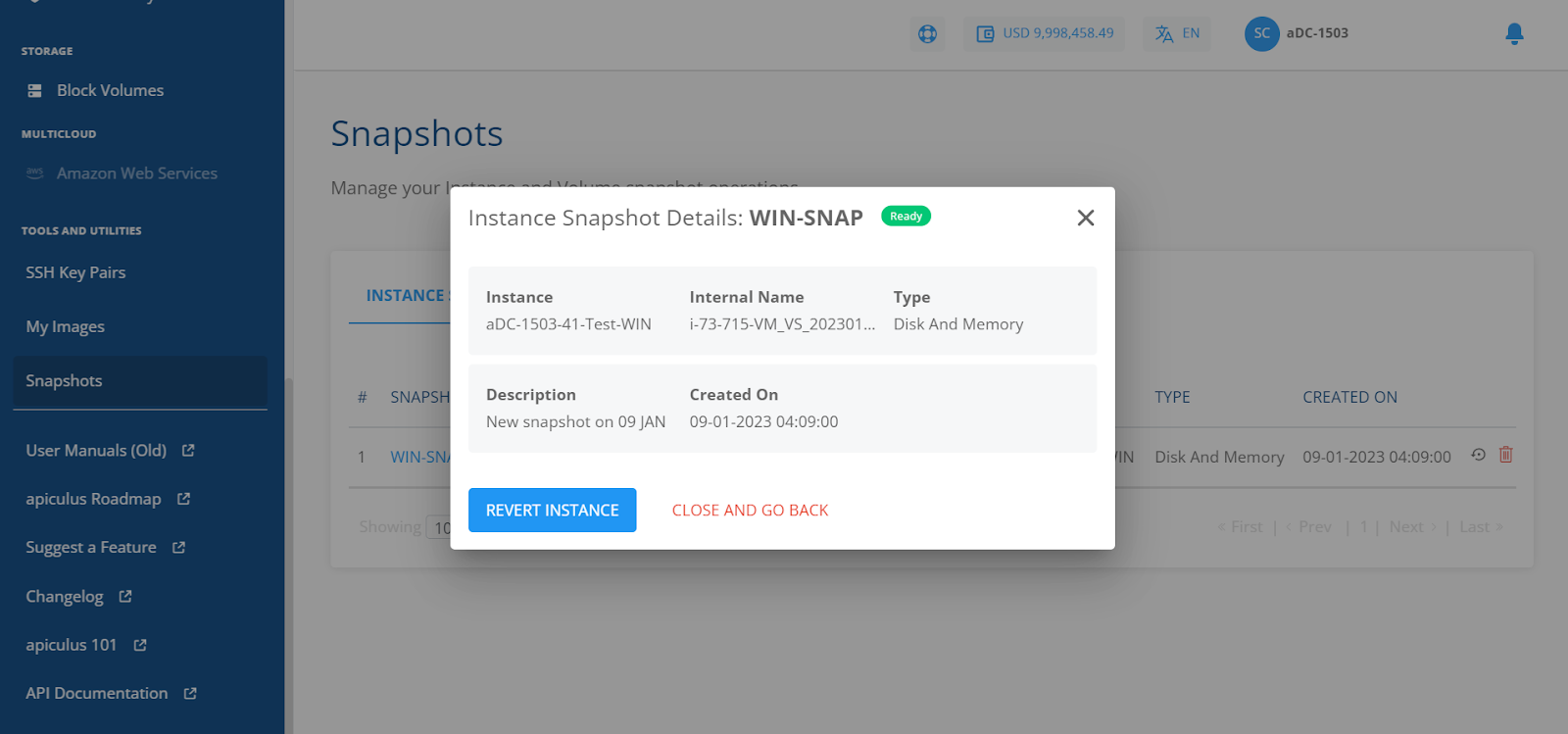 Managing Instance and Volume Snapshots