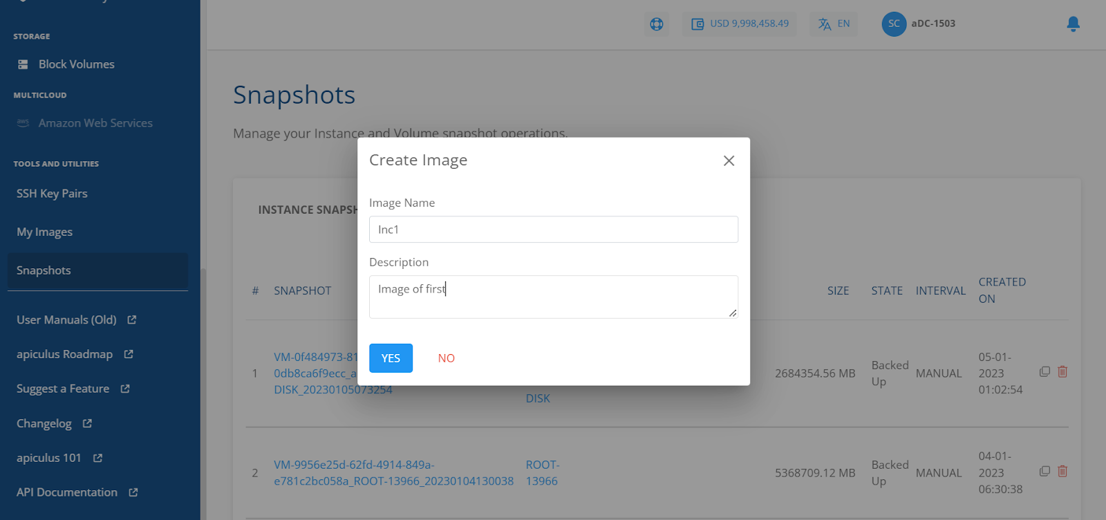 Managing Instance and Volume Snapshots