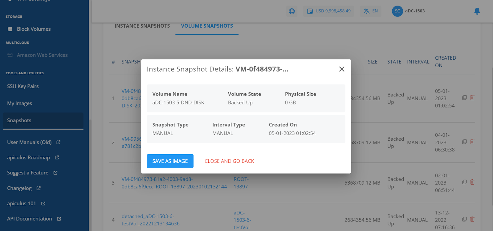 Managing Instance and Volume Snapshots