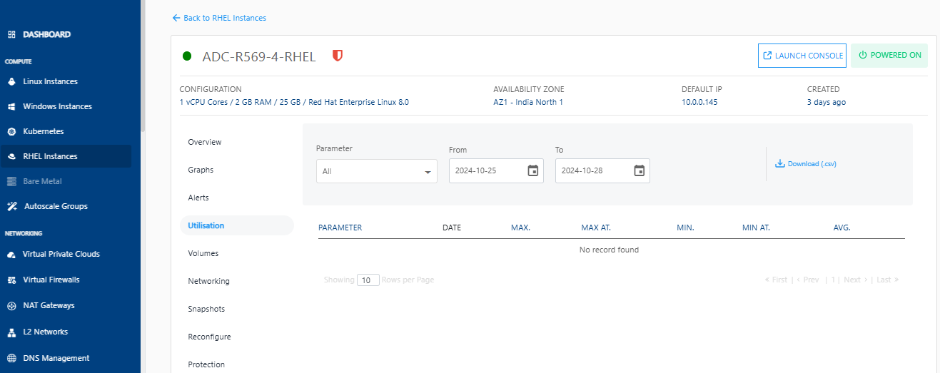 Utilization of RHEL Instances