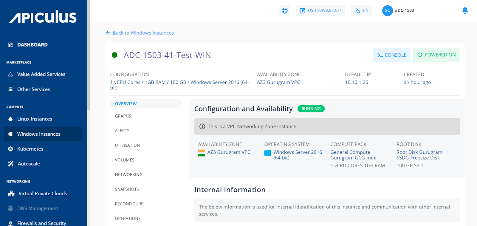 Viewing Details of Windows Instances