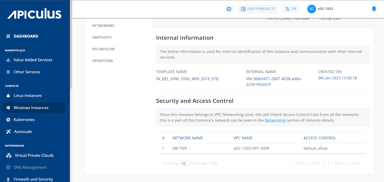 Viewing Details of Windows Instances