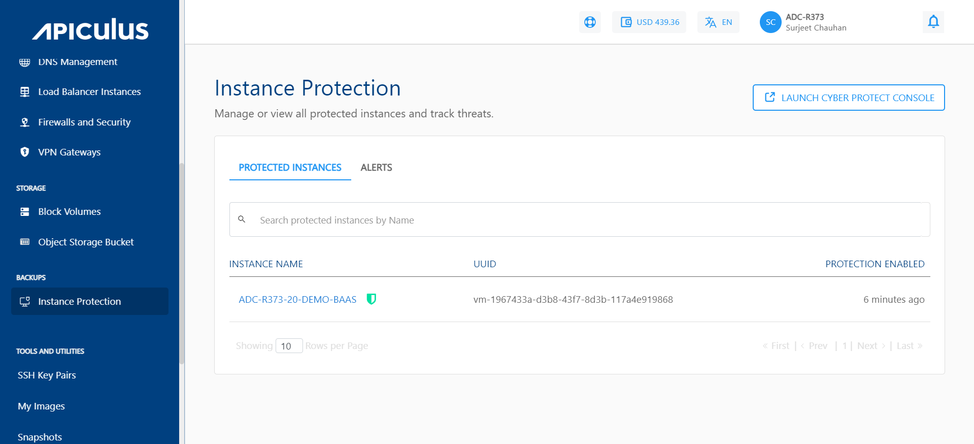 Viewing Protected Instances