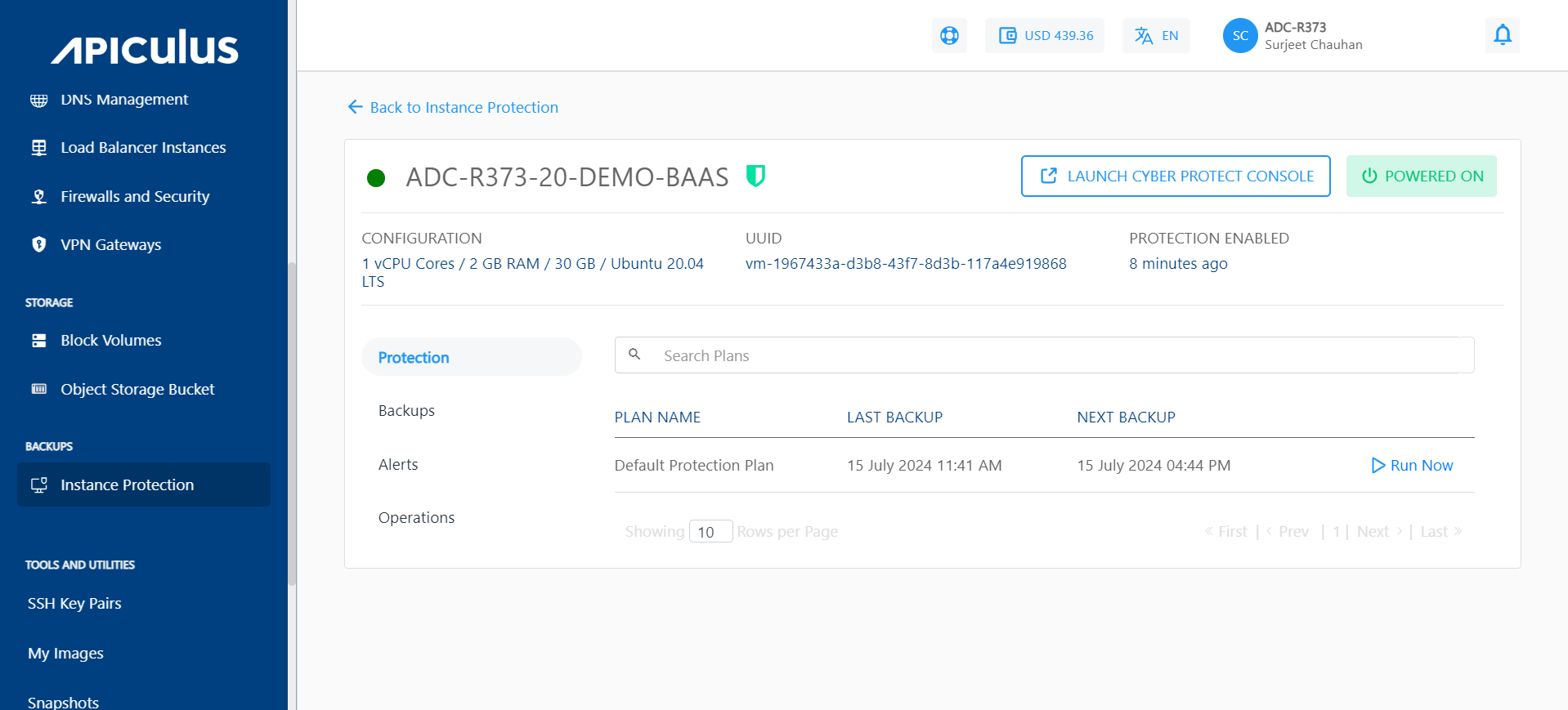 Viewing Protected Instances