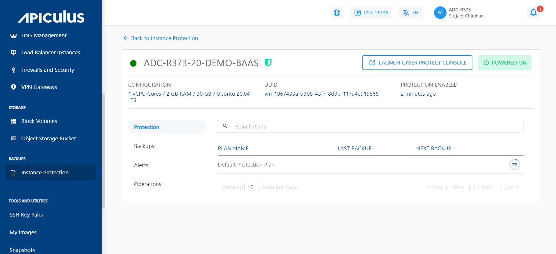 Viewing Protected Instances